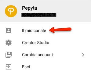 il mio canale.png