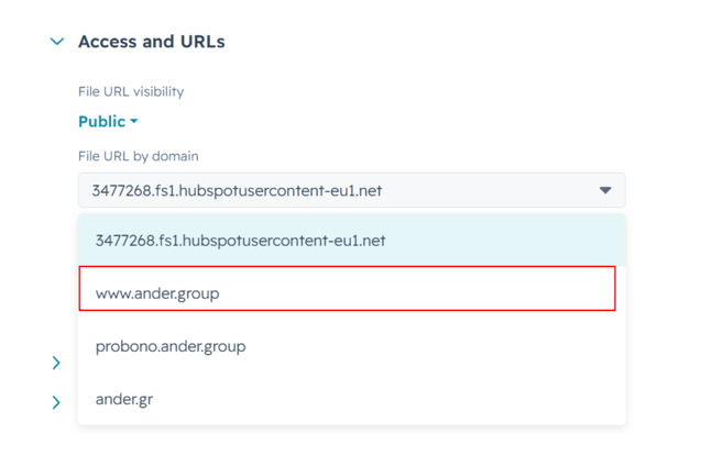 Menu Access and URLs con selezione del dominio URL del file e opzione wwwandergroup evidenziata