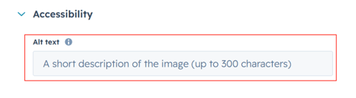 Sezione Accessibility con campo Alt text per inserire una breve descrizione dell’immagine