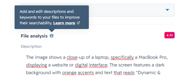 Sezione File analysis con descrizione automatica di un’immagine e tooltip informativo