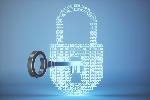 Privacy e cookie policy
