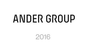 Ander Group 2016
