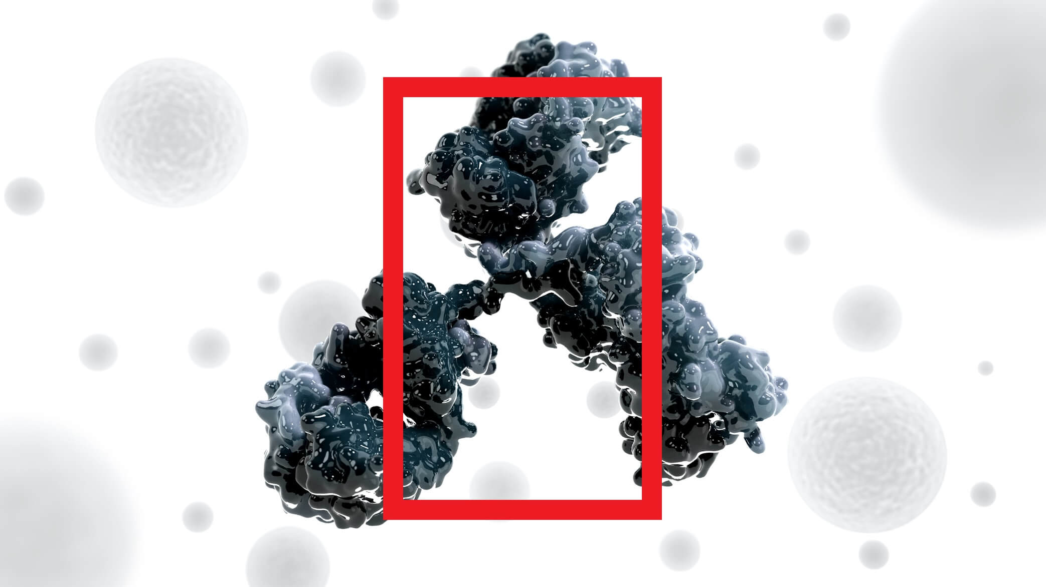 HBI_01