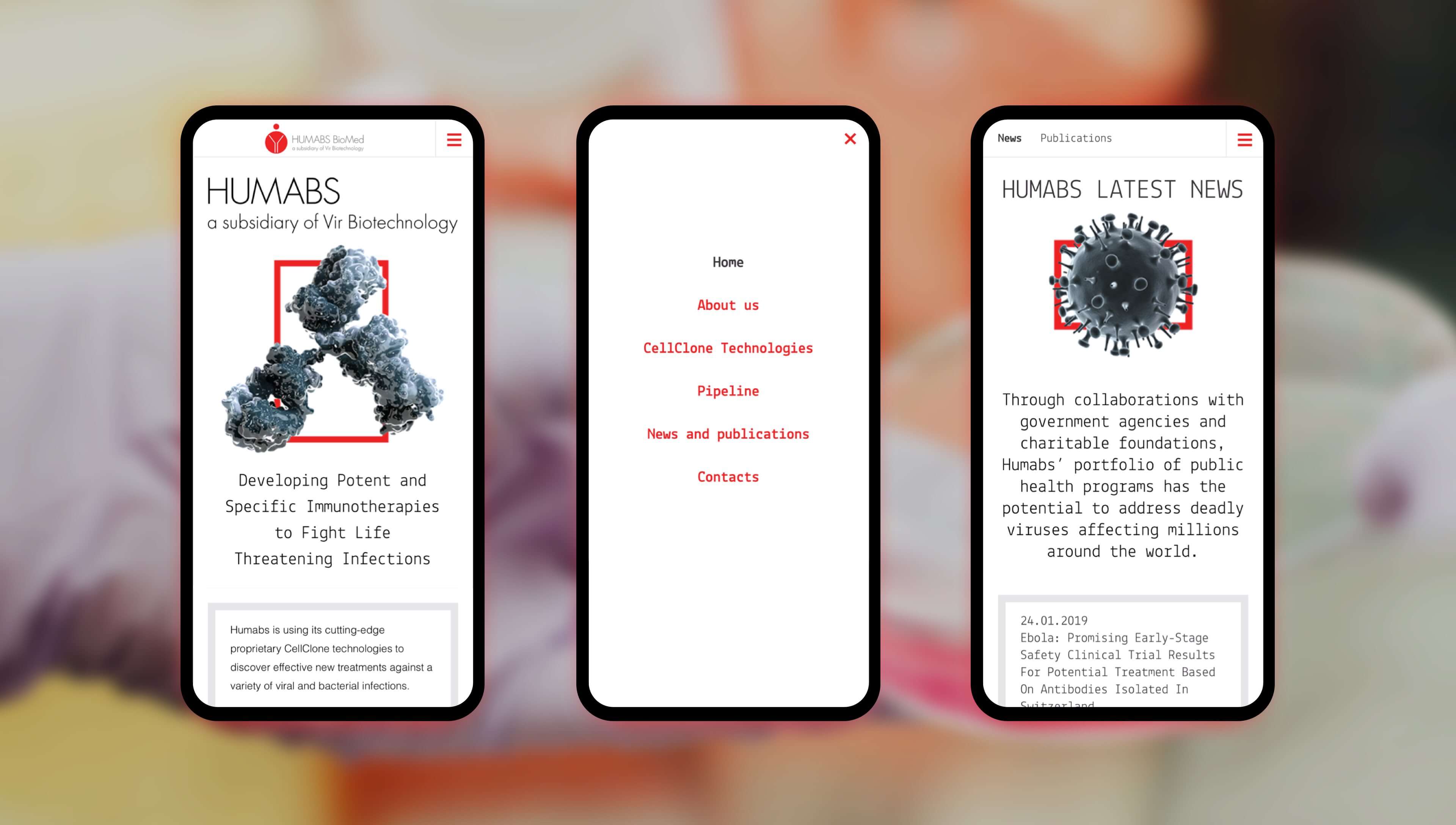 Case Study Ander Group: Humabs