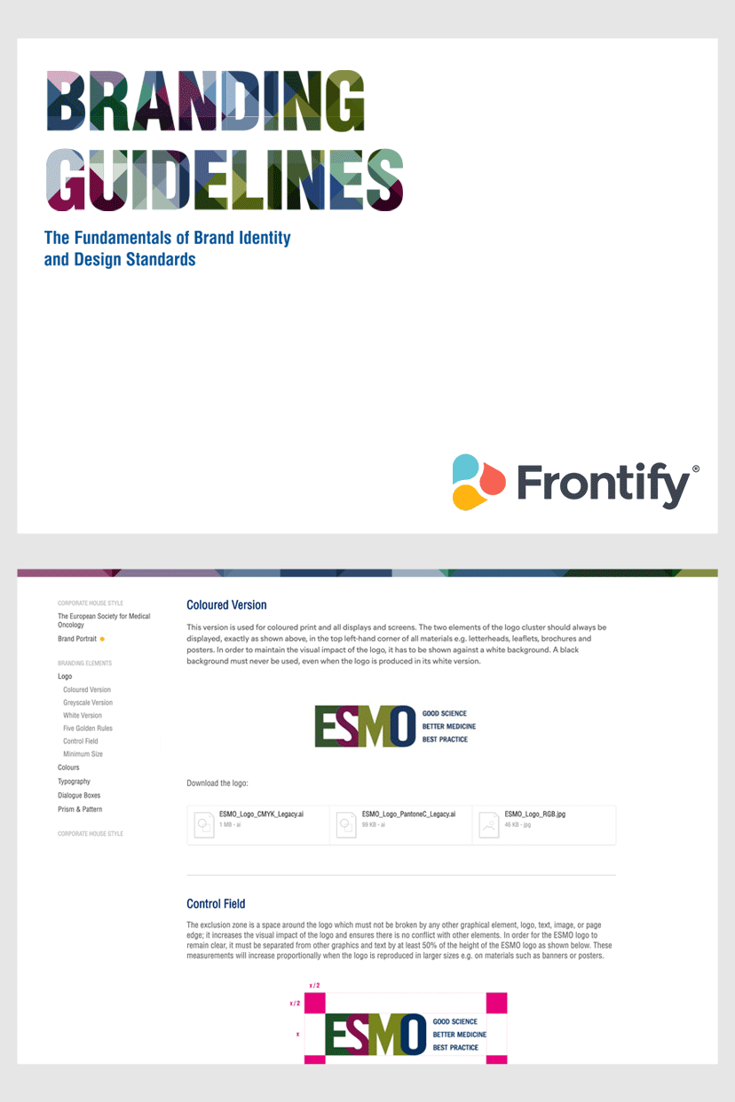 ESM_S_guidelines ESM_S_guidelines