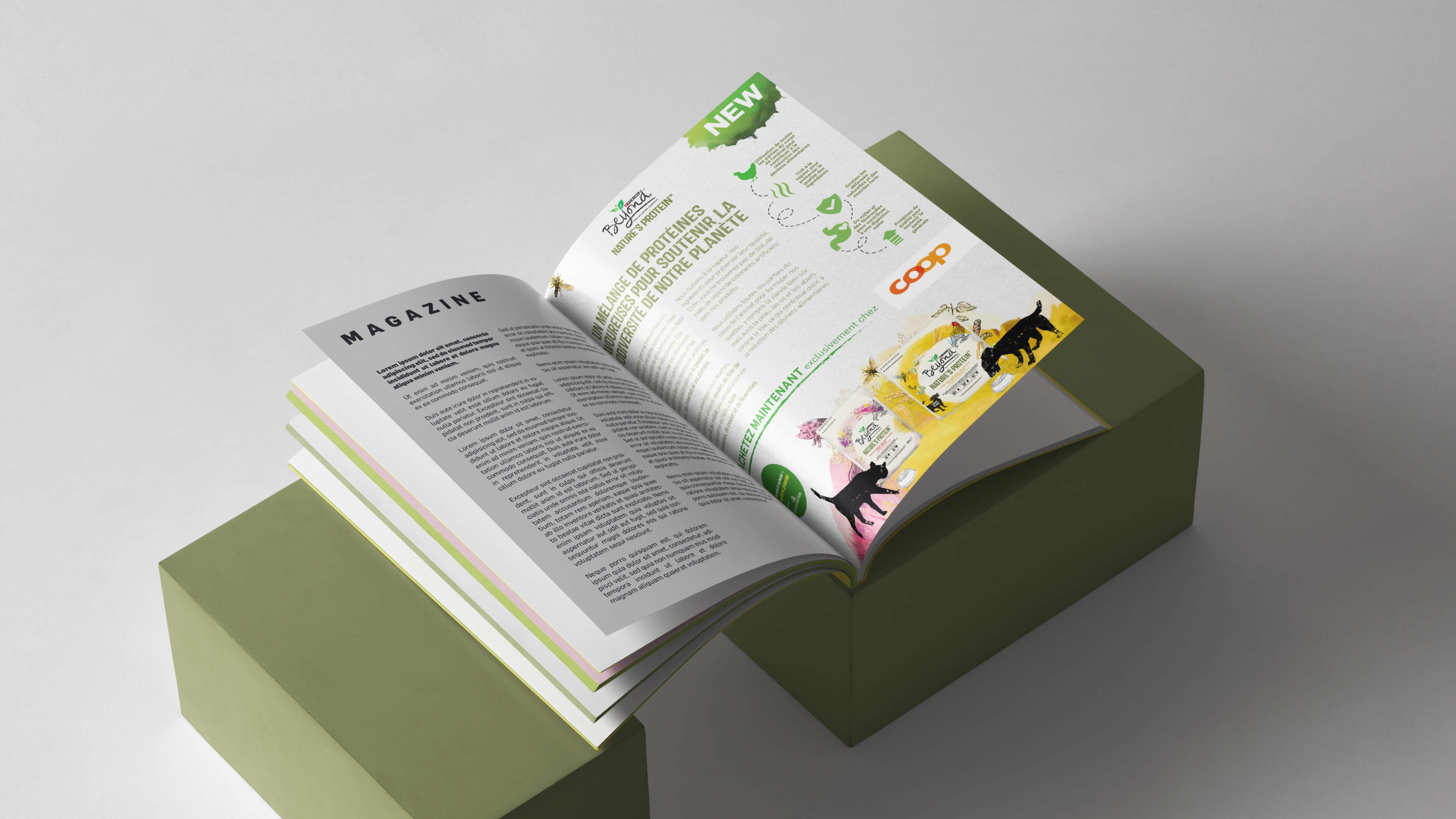 NSU_mag NSU_mag