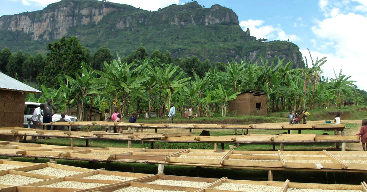 masaba_coffee_fair_trade