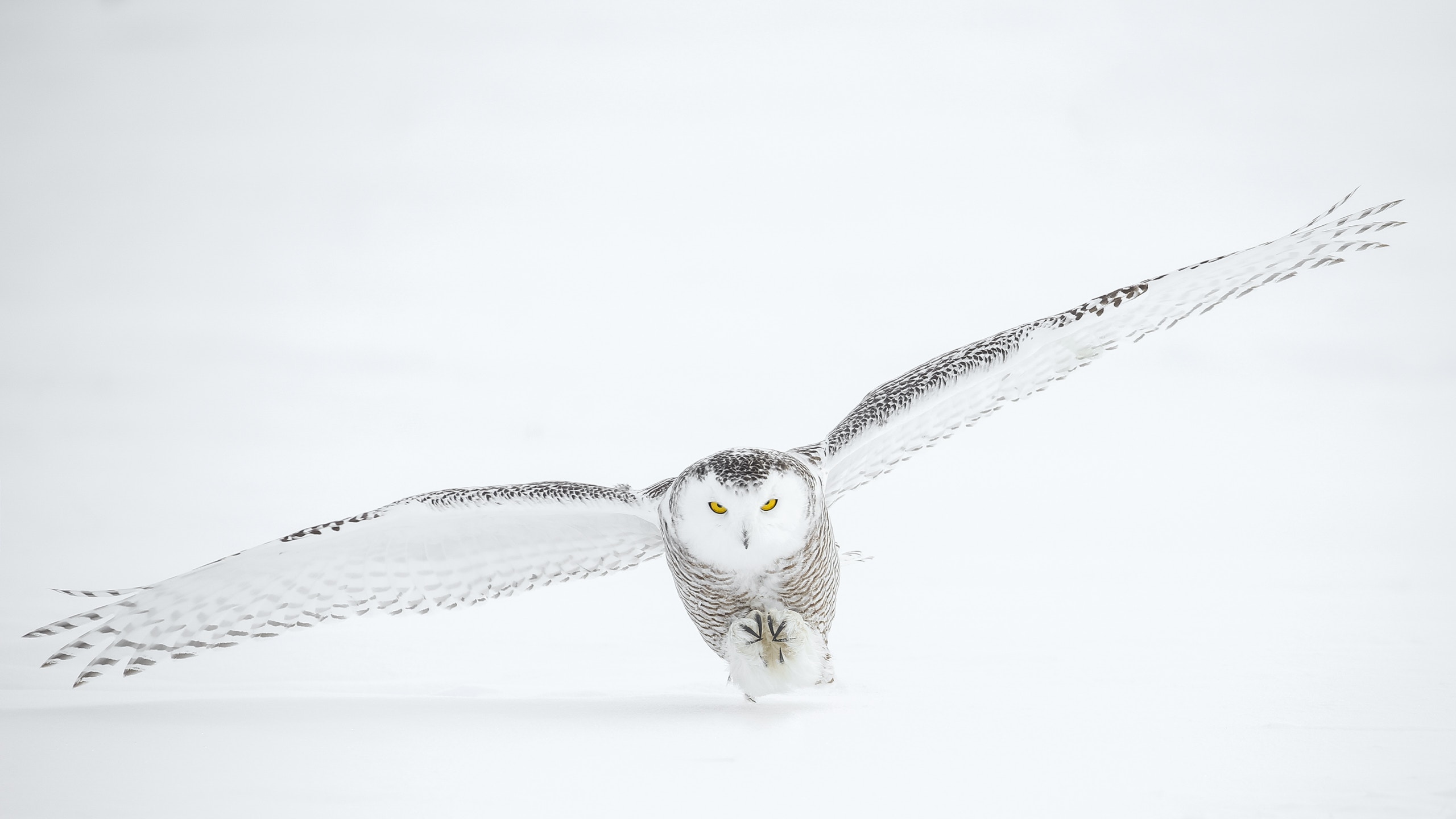 todd-steitle-667598-unsplash